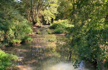 Bauernhof - Auszeit mal anders - Foto 26