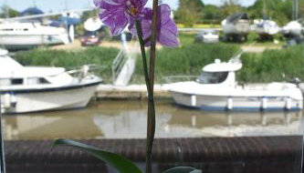 Boatyard View - Foto 3