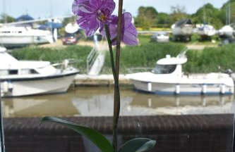 Boatyard View - Foto 3