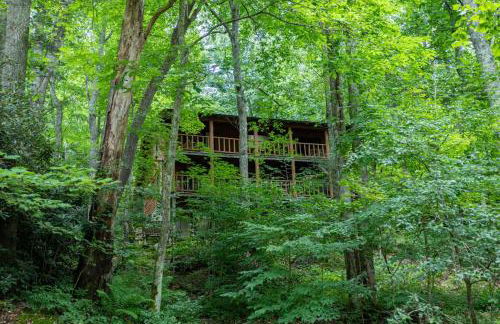 Draggin Fly - Foto 42