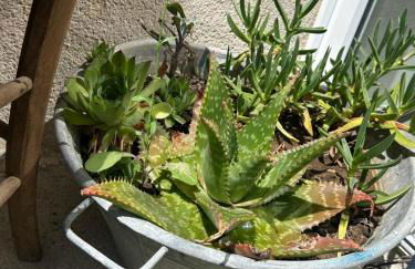 Studio cocooning - Foto 33