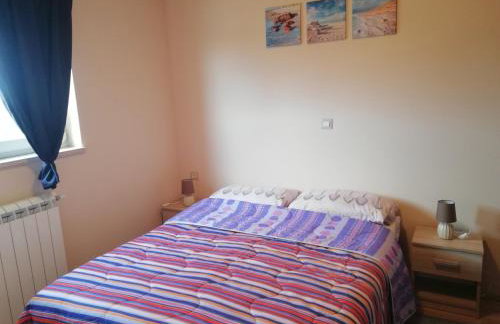 Apartman Nikola - Photo 24