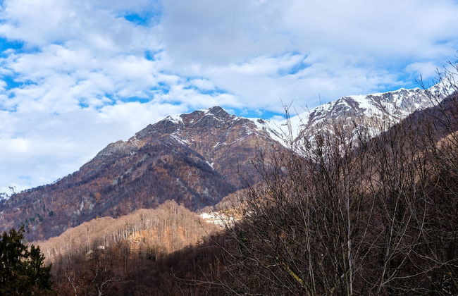 La Bursch - Photo 44