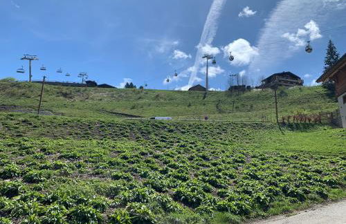 2 pièces La Clusaz Centre village dans petite résidence - Foto 11