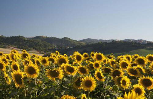 La casa delle Lune - Foto 29