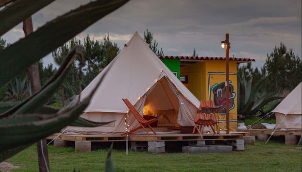 Night at the Firefly Sanctuary - Foto 3