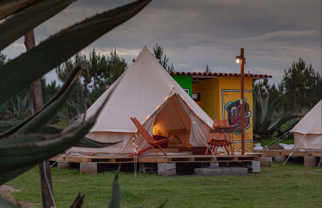 Night at the Firefly Sanctuary - Photo 3