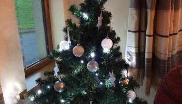 Erne View Cottage - Foto 4