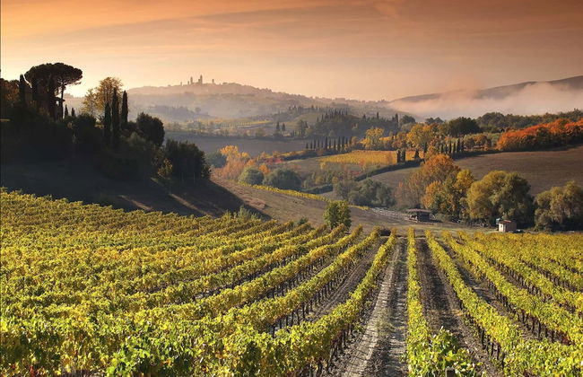 Mormoraia - Photo 70