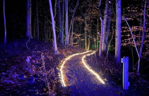 LakePath Beach House - XL hot tub, walk to beach - Foto 20