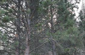 Beautifully updated home in East Missoula - Foto 38