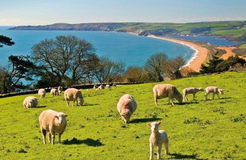 3 The Drive, Hillfield Village - Foto 53