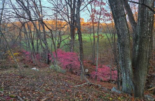 Perch, for work or wandering the Litchfield Hills - Foto 33