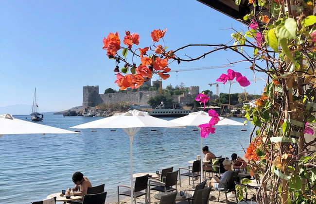 Surfer Caravan Gastro Pub and Suites - Foto 27