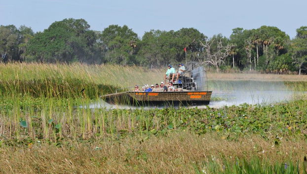 Aventuras en aerodeslizador: Boggy Creek Airboats - Foto 3