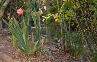 Ferienwohnung Freiraumwohnung - Foto 15