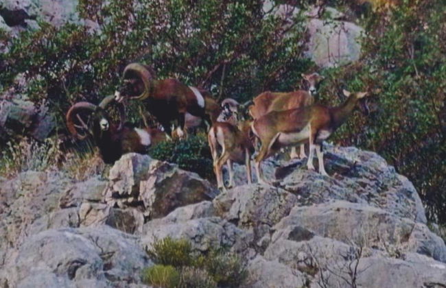 Fancy Apartments Kula - Foto 80