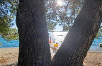 Apartments Ana Žaborić, 50 m od šljunčane plaže - Foto 39