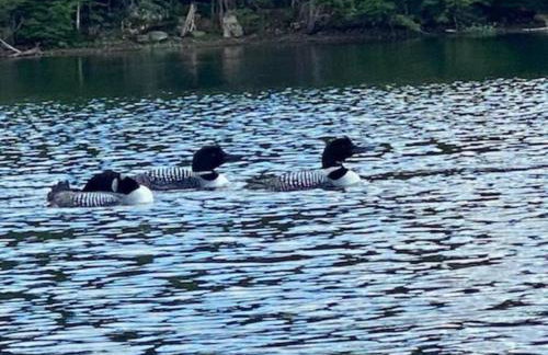 Hawkeyes Rest - Foto 6