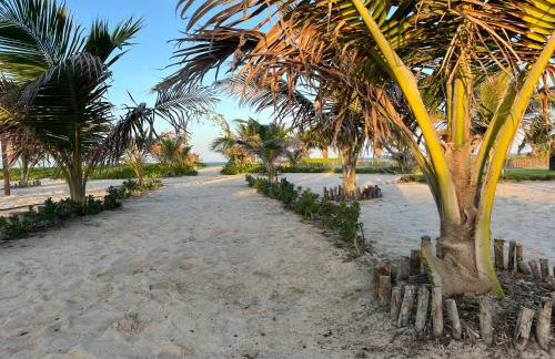 Jurema Dourada - Photo 18