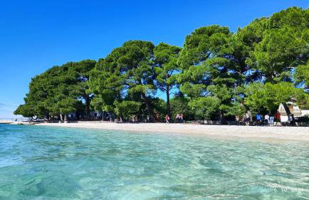 Apartment R & Z-Brand new family apartment with a spacious yard - Foto 27