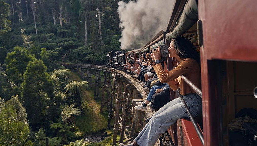 Puffing Billy Railway and Wildlife Tour - Photo 1