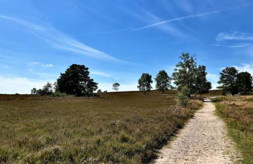 Lütt Heidjer Hus 5 Sterne DTV - Foto 47