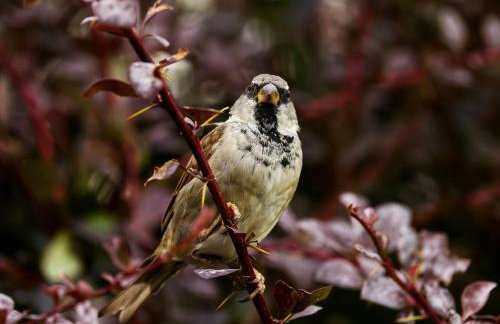Elm Tree Cottage - Photo 5