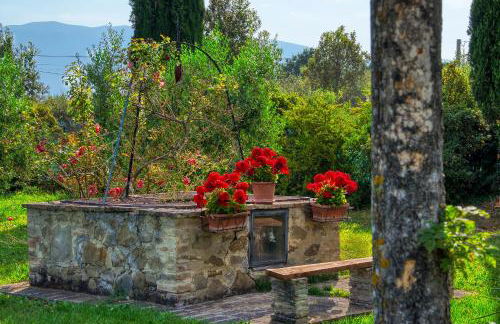 Agriturismo Le Terre del Casale - Photo 17