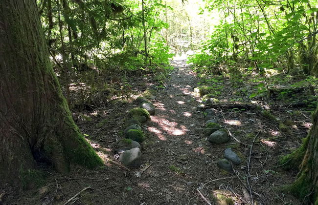 70MBR- Hot Tub - BBQ - Wi-Fi - Pets Ok - Sleeps 8 - Foto 20