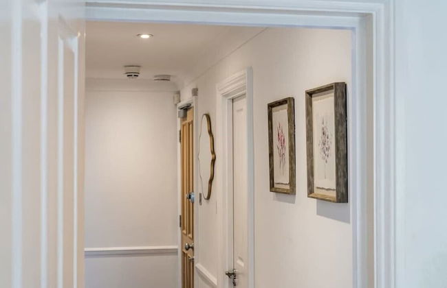 The Hertford Boutique - Photo 50