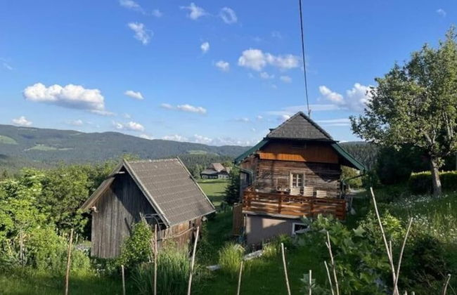 Andi's Berghutte Comfortable Holiday Residence - Photo 1