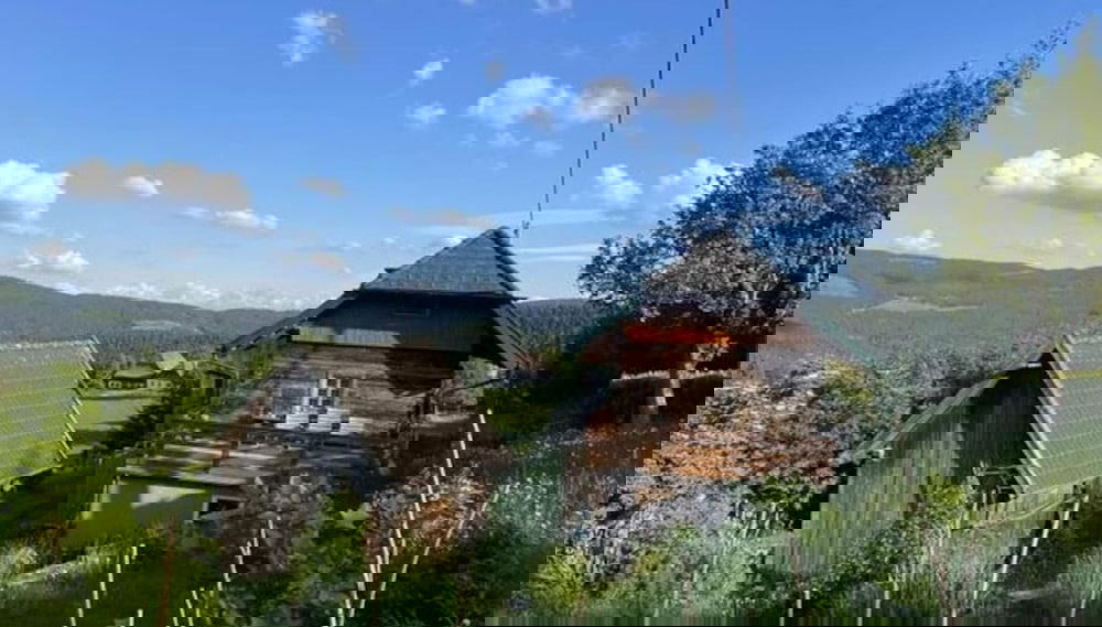 Andi's Berghutte Comfortable Holiday Residence - Foto 1, Imagen principal