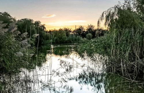 4 Lakeview Lodge - Foto 7