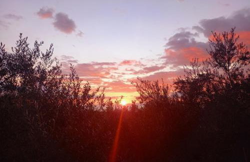 Spitiko Marias - Foto 12