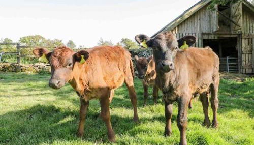 Panoramic Mountain Retreat - Waen Fechan - 4x4 access only - Foto 4