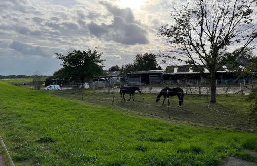 Authentic Travellers Suite in ehemaliger Gärtnerei - Foto 15