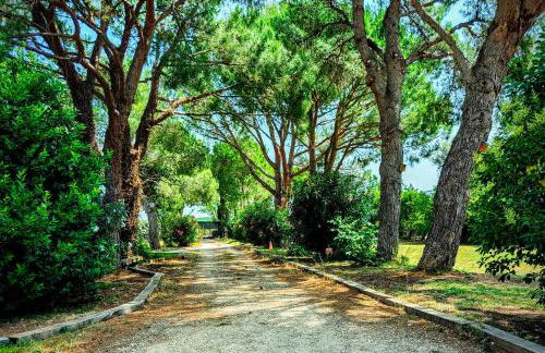 Le Gîte d'Entressen studio Piscine Jeux & Pétanque Istres Miramas - Foto 9