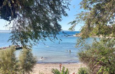 Vivito apartment - Foto 3