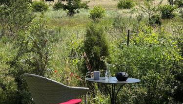 SandKorn 1 und 2 - Foto 4, Garden, Garden view