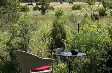 SandKorn 1 und 2 - Foto 4