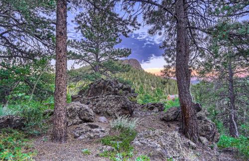 Mountain View Retreat home - Foto 53