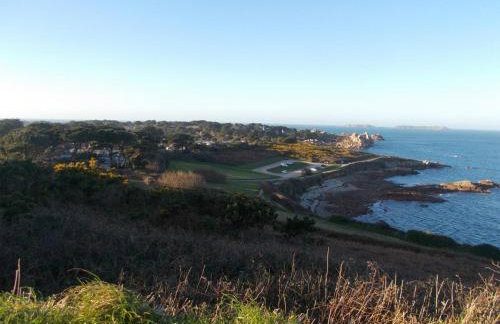 Les hortensias - Foto 38