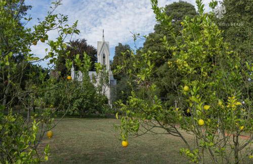 Casa de Vila Flor - Foto 29