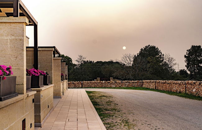 Gianfranco Fino Viticoltore - Foto 36