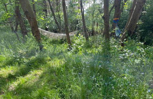 Chatka nad Liwcem - Photo 21