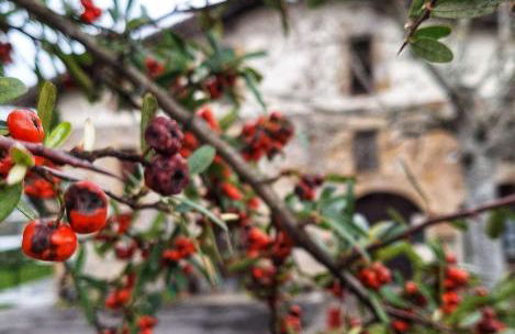 Casa Rural Areano - Foto 75