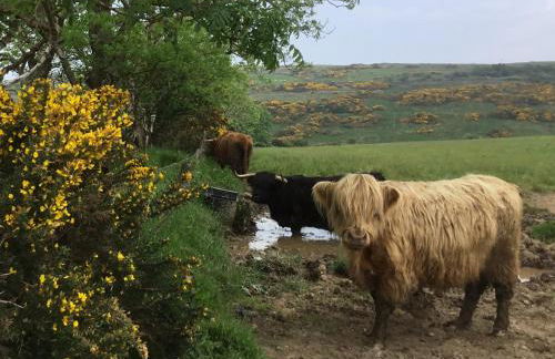 Chapelhill Hideaway Isle of Bute licence AR00654F - Foto 23