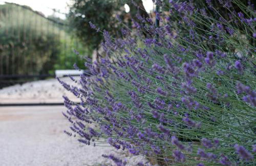 Casale Madeccia - Foto 6