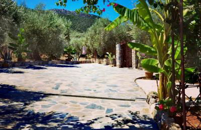 Elaion Thea2-Nies - Foto 6